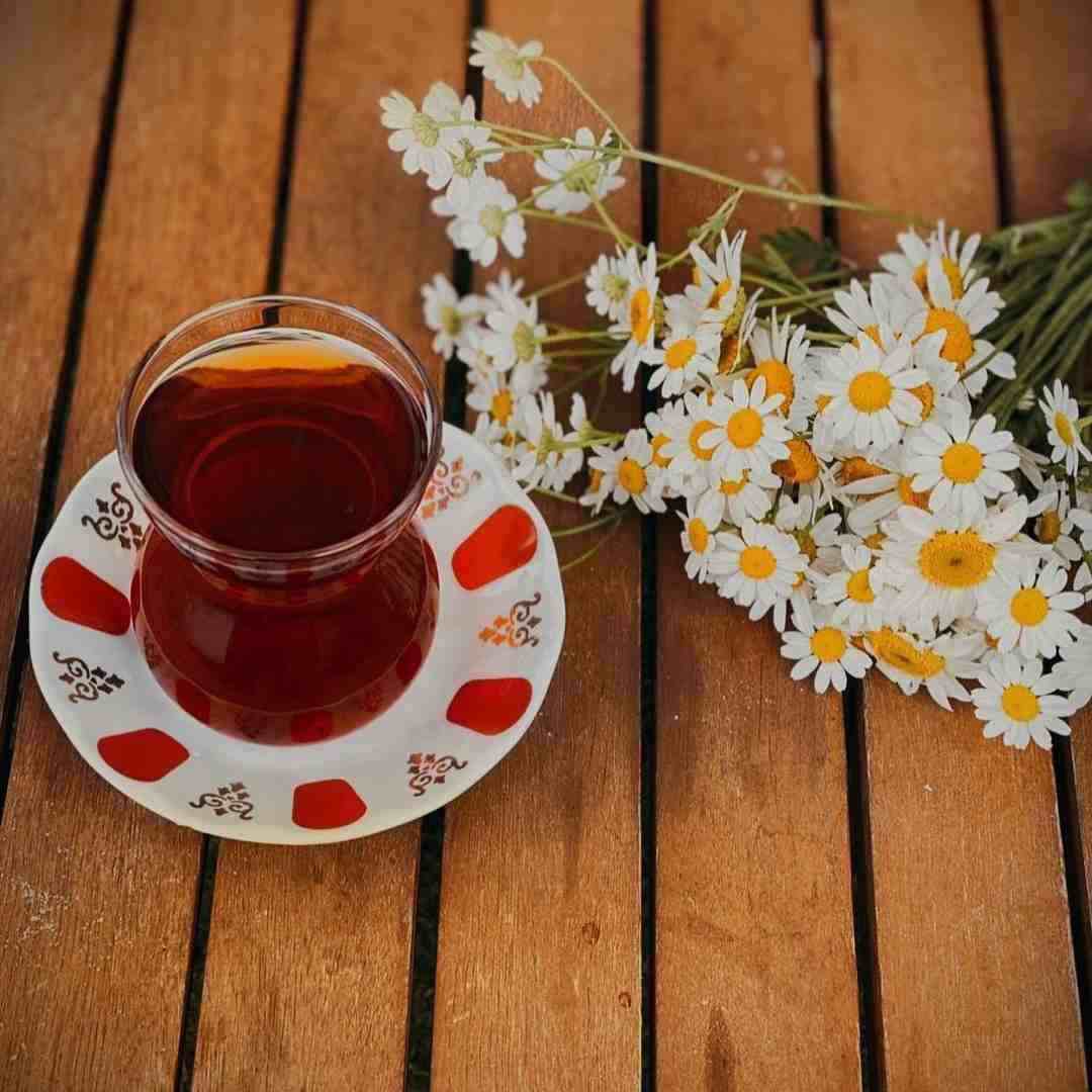 آهنگ جدید ترکی مگه نگفتی تا وقتی بمیرم کنارمی